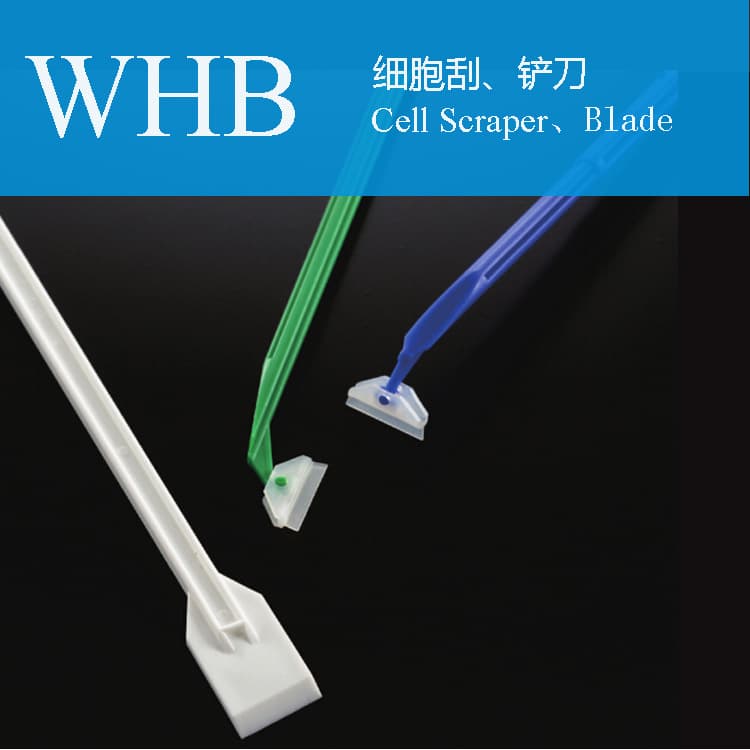 Plastic Sterile Cell Scraper With Flexible Blade Head